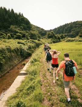 Several people walking on path in grassy field